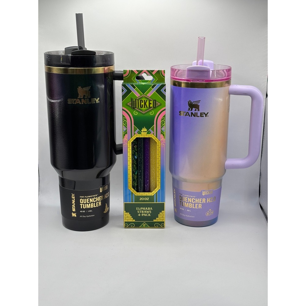 Stanley x Wicked Quencher H2.0 Tumbler Lot 40oz 30oz Elphaba Glinda Straws